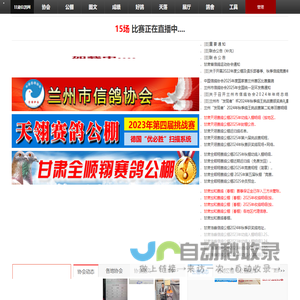甘肃信鸽网-甘肃最大的信鸽网站